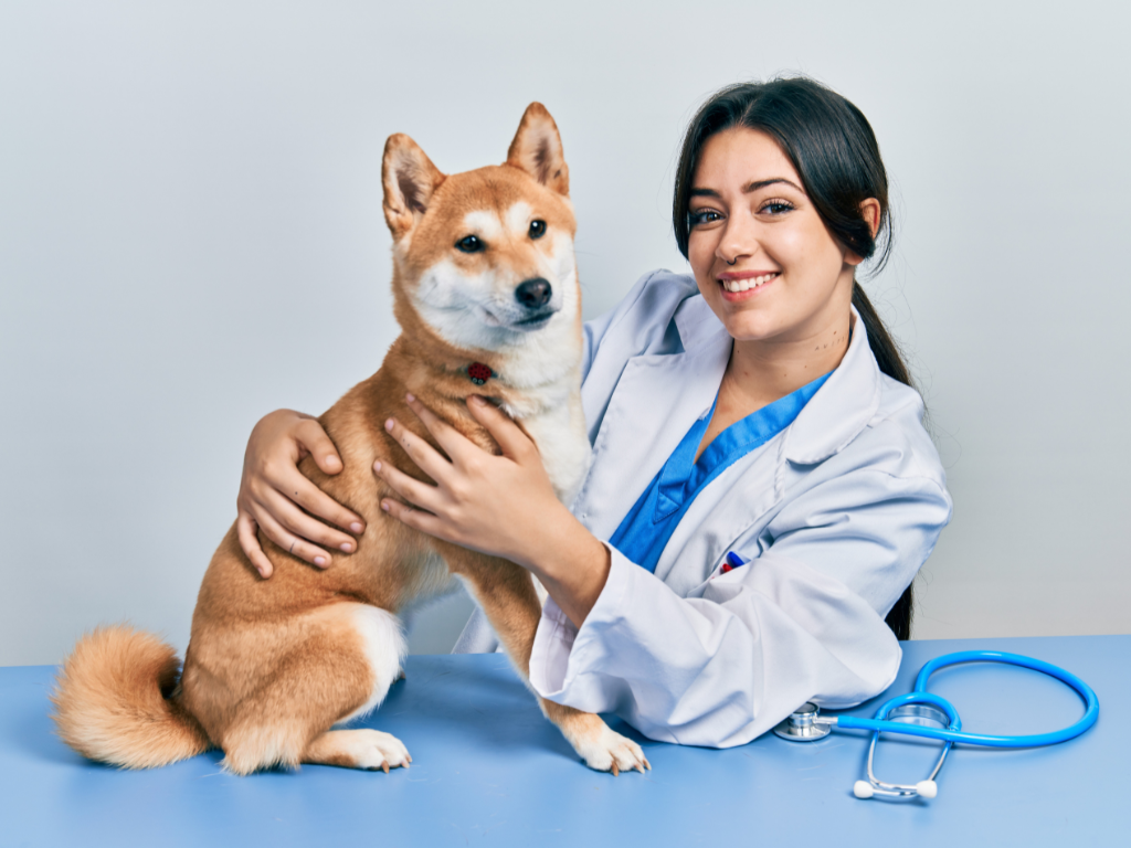 5 Ways Veterinary Software Can Improve Patient Outcomes
